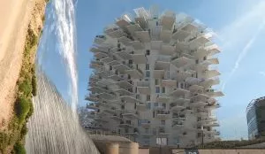 arbre-blanc-immeuble-montpellier